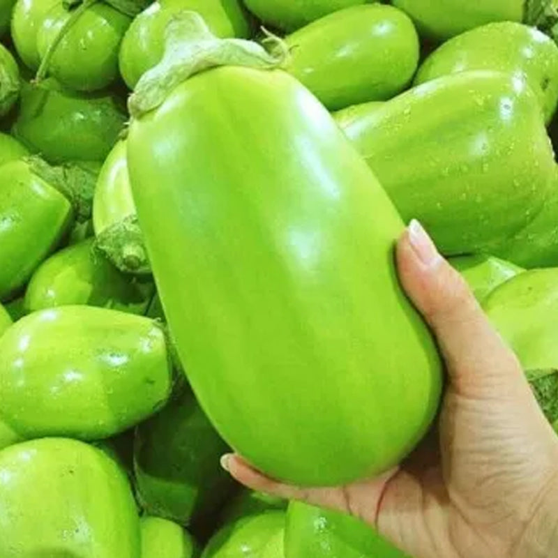 Green Can Eggplant Seeds