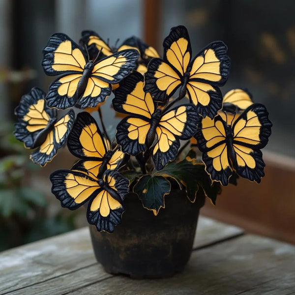 Butterfly Begonia🦋Autumn sunset