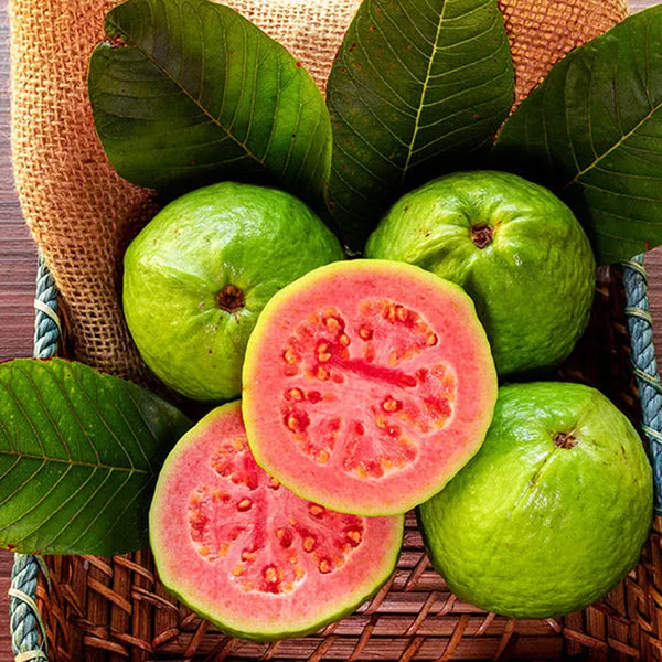 Tropical Strawberry Guava Organic Pink Guava Seeds