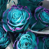 Semillas raras de rosa esmeralda de Oz