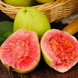 Strawberry Guava Seeds