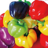 Colorful Sweet Pepper Seeds Organic