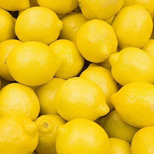 Lemon Seeds for Planting Organic High Survival Rate Lemon Tree Seeds Planting for Home Garden