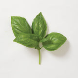 Semilla de albahaca genovesa