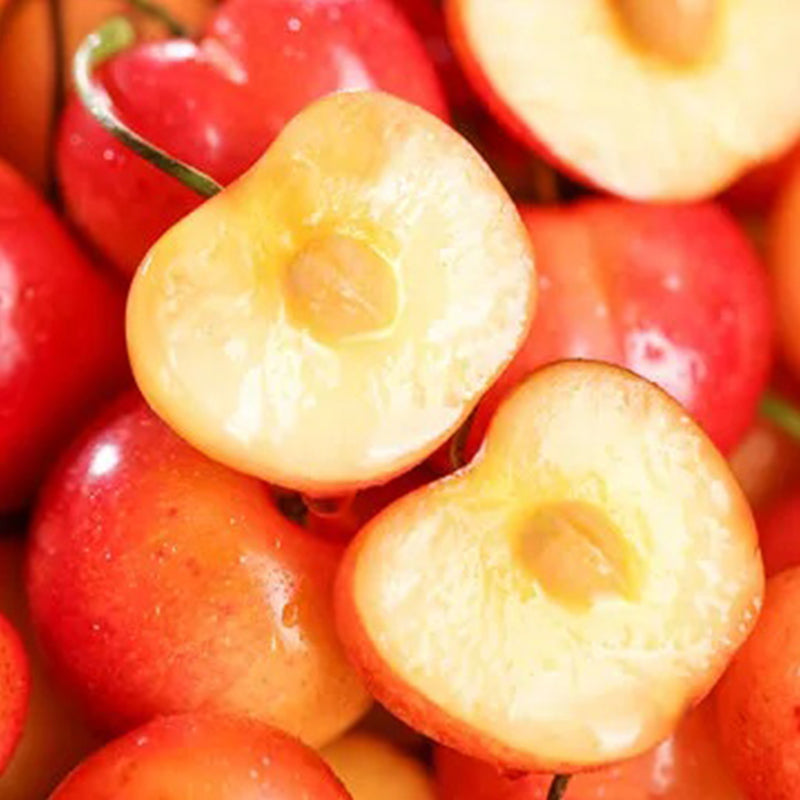 Semillas de cereza dorada