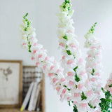 Apple Blossom Snapdragon Flower Seeds-Extremely romantic flowers