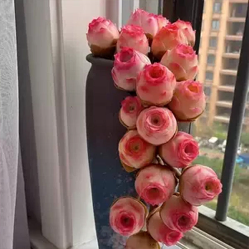 Pink Mountain Rose Succulent