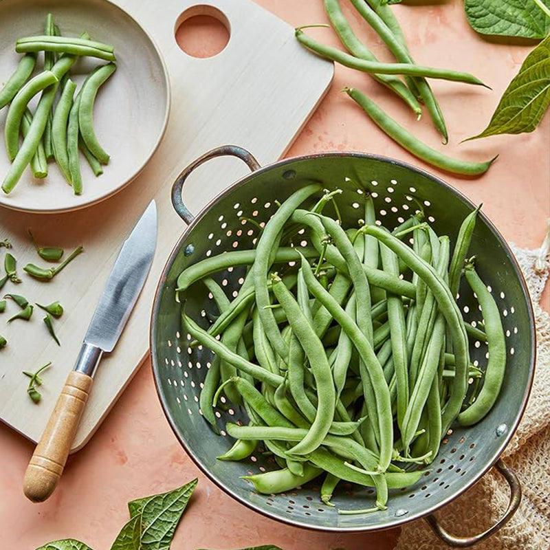 Blue Lake 274 Bush Bean Seeds