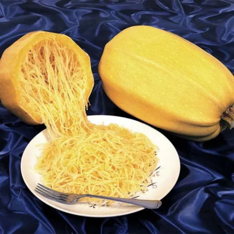 Vegetable Spaghetti, Squash Seeds