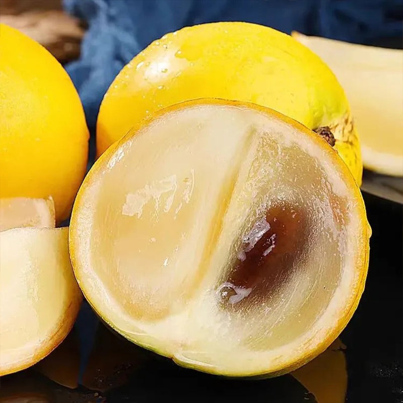 Golden Fruit Seeds Abiu Fruit Pouteria Caimito