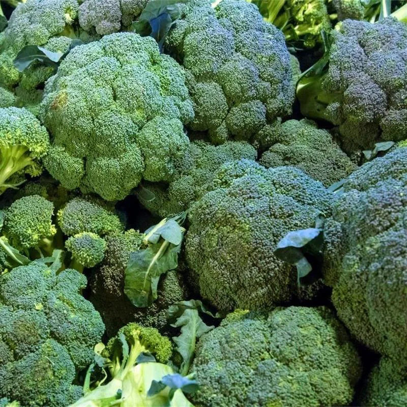 Brócoli Emerald Crown F1