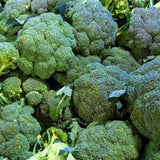 Brócoli Emerald Crown F1