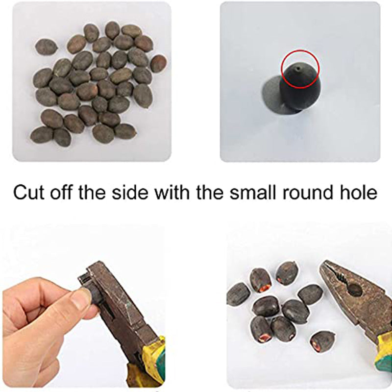 Mixed Bonsai Lotus Seeds