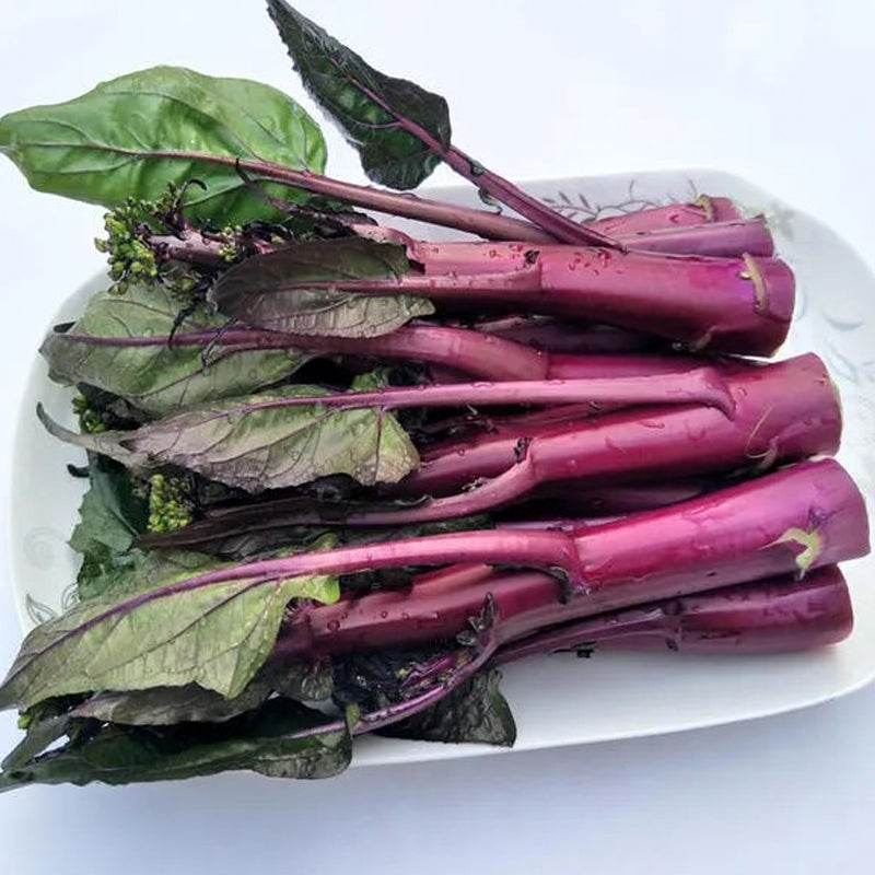 Beetroot Under The Snow Seeds