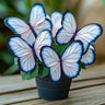 Butterfly Begonia: Unleash Whimsy in Your Garden!