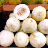 Semillas de melón de Taiwán Bai Mibao Melón blanco de pared fina Melón chino Melón Sakata Híbrido