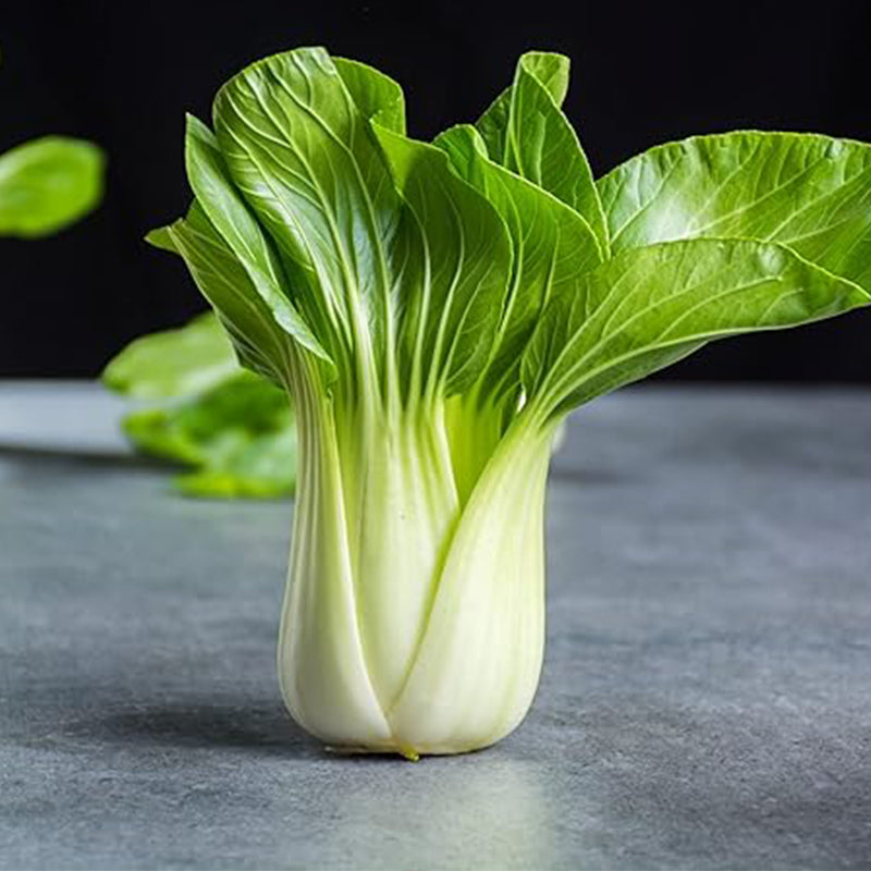 Semillas de pak choi bebé - Shanghai Green Stem - también conocido como pak choi, pok choi, repollo chino