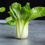 Semillas de pak choi bebé - Shanghai Green Stem - también conocido como pak choi, pok choi, repollo chino