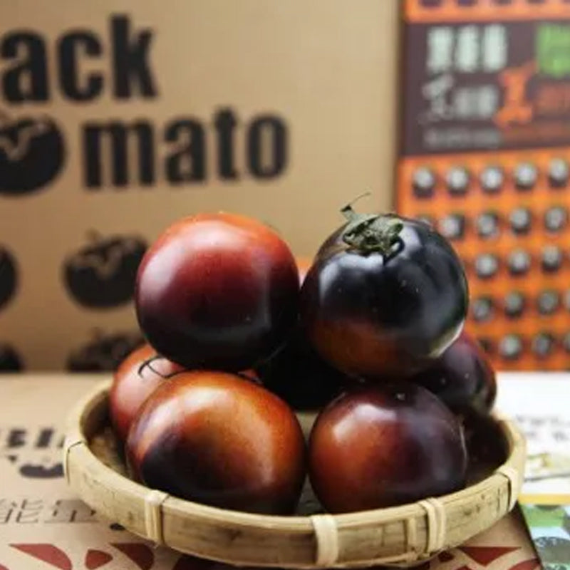 Tomate negro - Reina de belleza negra