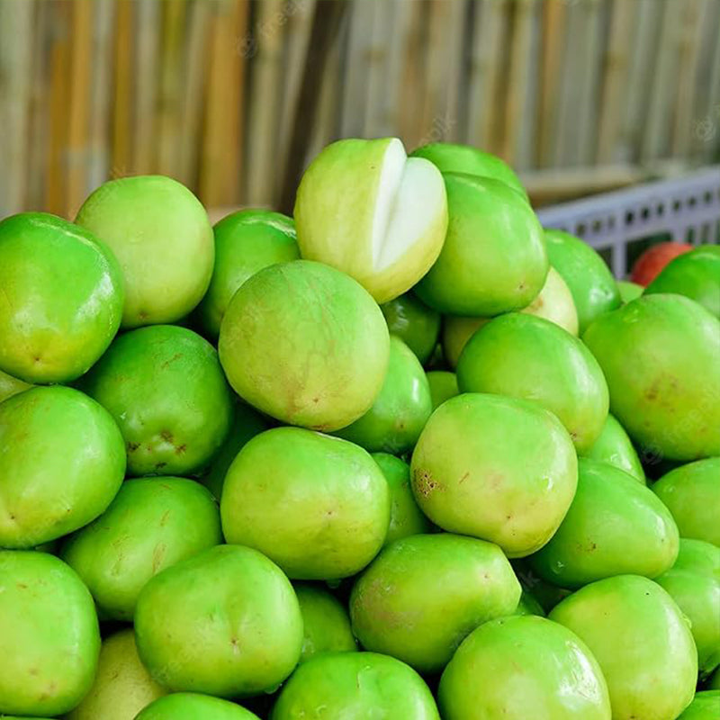 Green Giant Sweet Jujube Fruit Apple Jujube