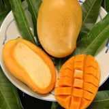 Semilla de fruta de mango Deliciosa fruta no transgénica Frutas jugosas Sabor robusto Alto rendimiento Florece Excelente para bordes