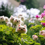 2025 New🔥Cat face flower Seeds