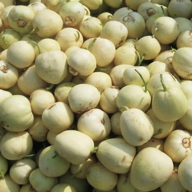 Semillas de melón de Taiwán Bai Mibao Melón blanco de pared fina Melón chino Melón Sakata Híbrido