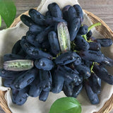 Último día 50% de descuento - Semillas de uva Sapphire de alta calidad - 98% de germinación