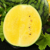 Semillas de sandía - Amarilla Petite