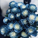 Rosa Galaxia Estrellada - Rosa Rara