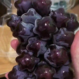 Venta caliente de semillas de uva estrella de una raza rara y hermosa