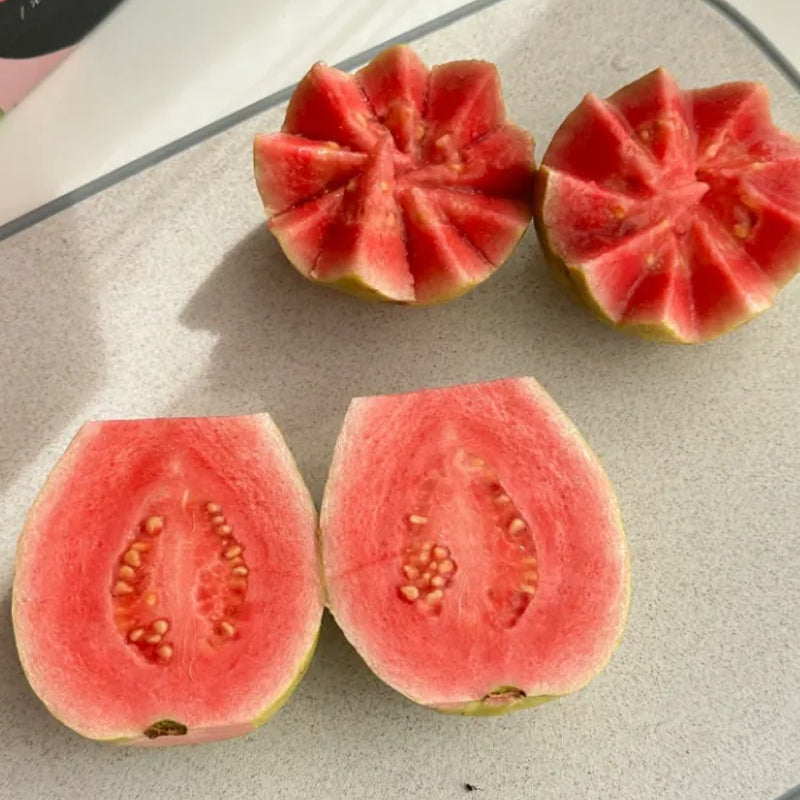 Semillas de guayaba rosa orgánica de guayaba tropical fresa