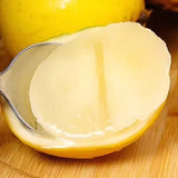 Golden Fruit Seeds Abiu Fruit Pouteria Caimito