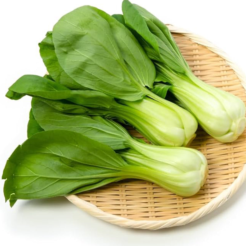 Semillas de Bok Choy para plantar - Cải Thìa - AKA. Pak Choi, repollo chino, Bok Choi