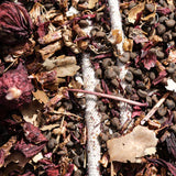 Semillas de flor de hibisco y roselle