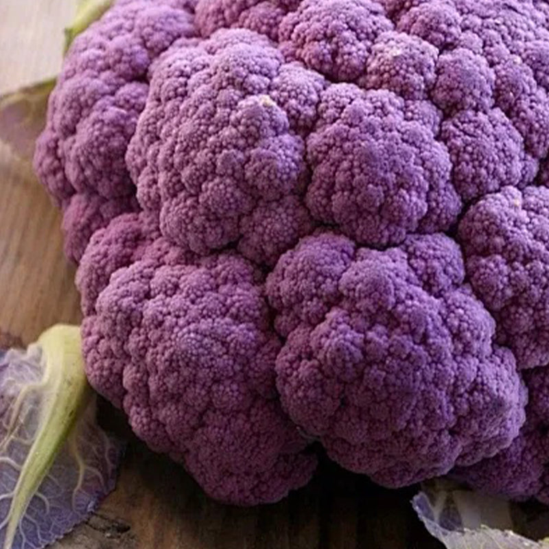 Cauliflower Graffiti F1