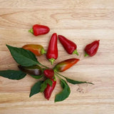 Hot Pepper Seeds