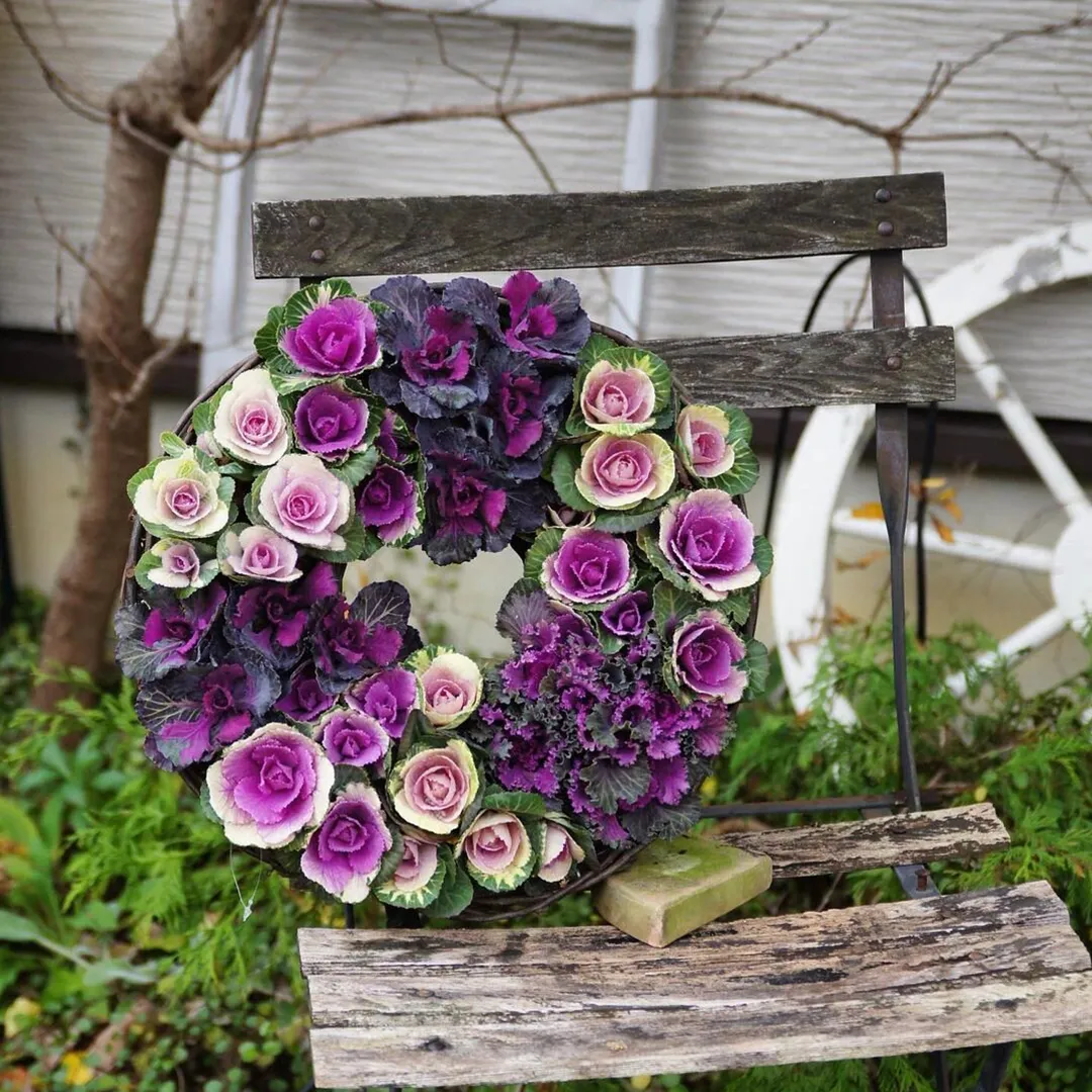 Mix Ornamental Kale Seeds