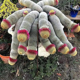 The Mammillaria Matudae Cactus Flower Plant Seeds