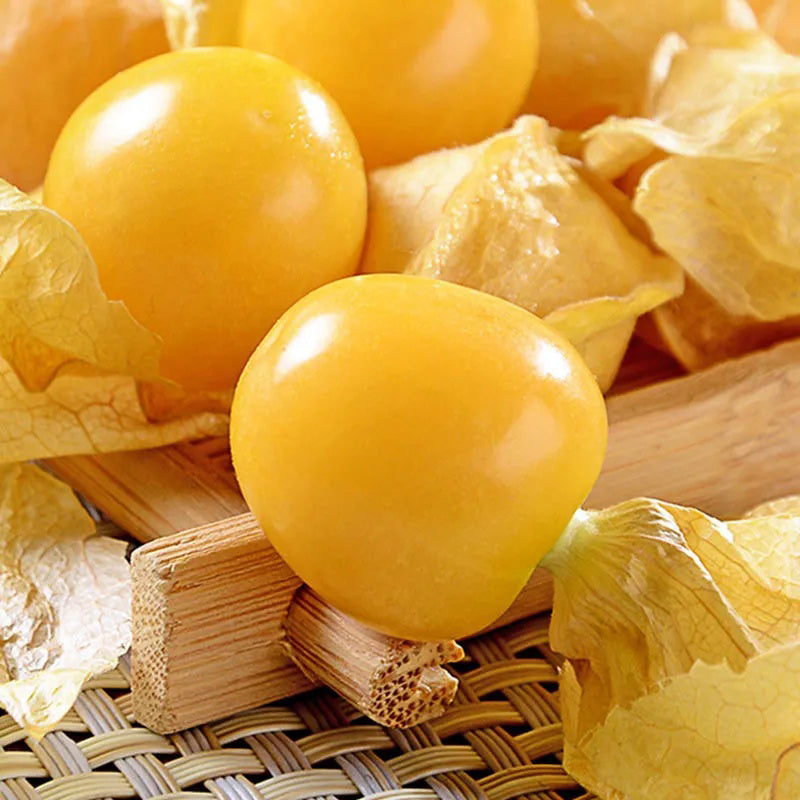 Physalis Peruviana Fruit-Lantern Fruit Seeds