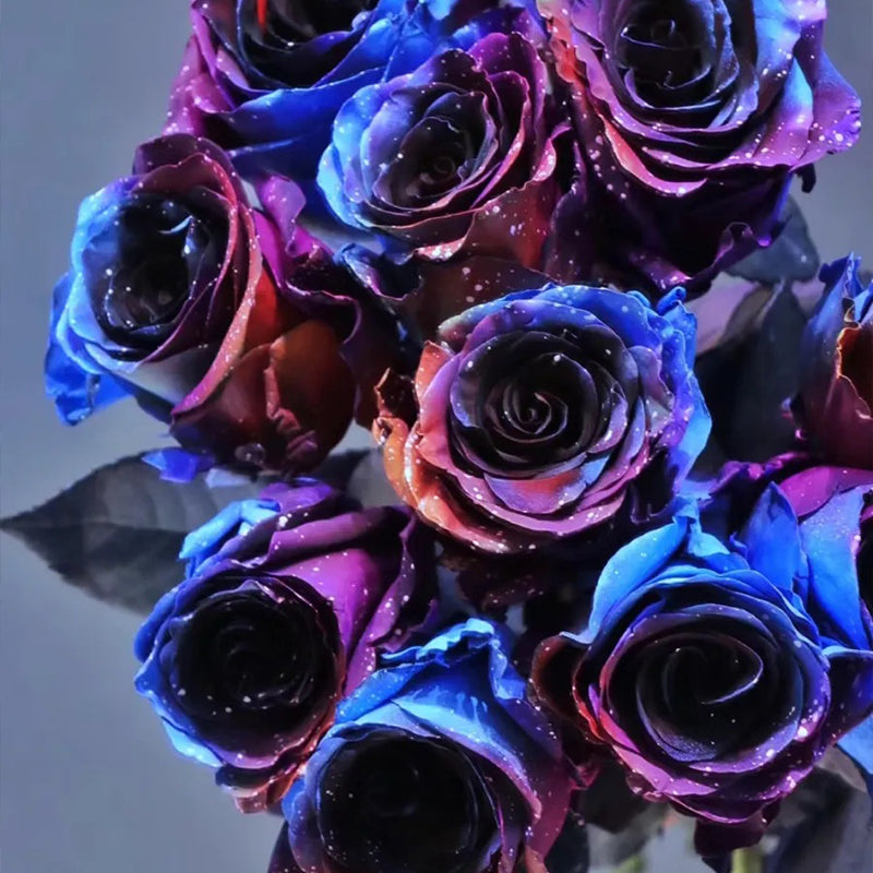 Rosas del cielo estrellado