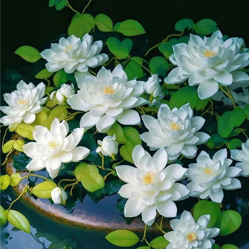 The Sacred Bonsai Lotus Flower