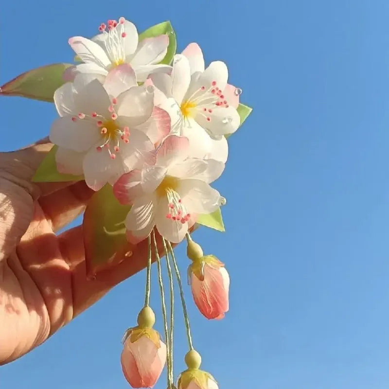 Begonia flowers Seeds