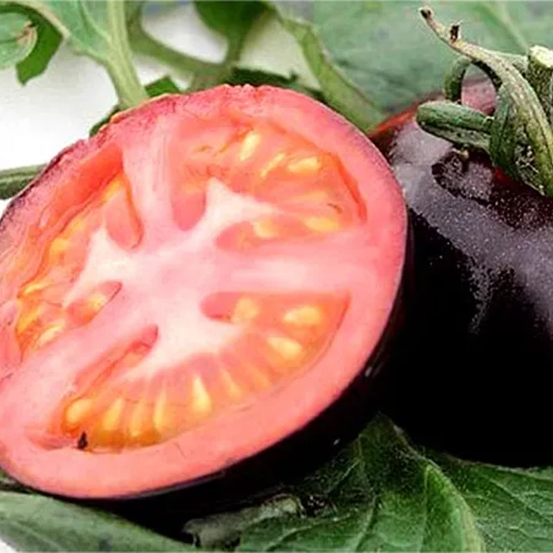 Tomate negro - Reina de belleza negra