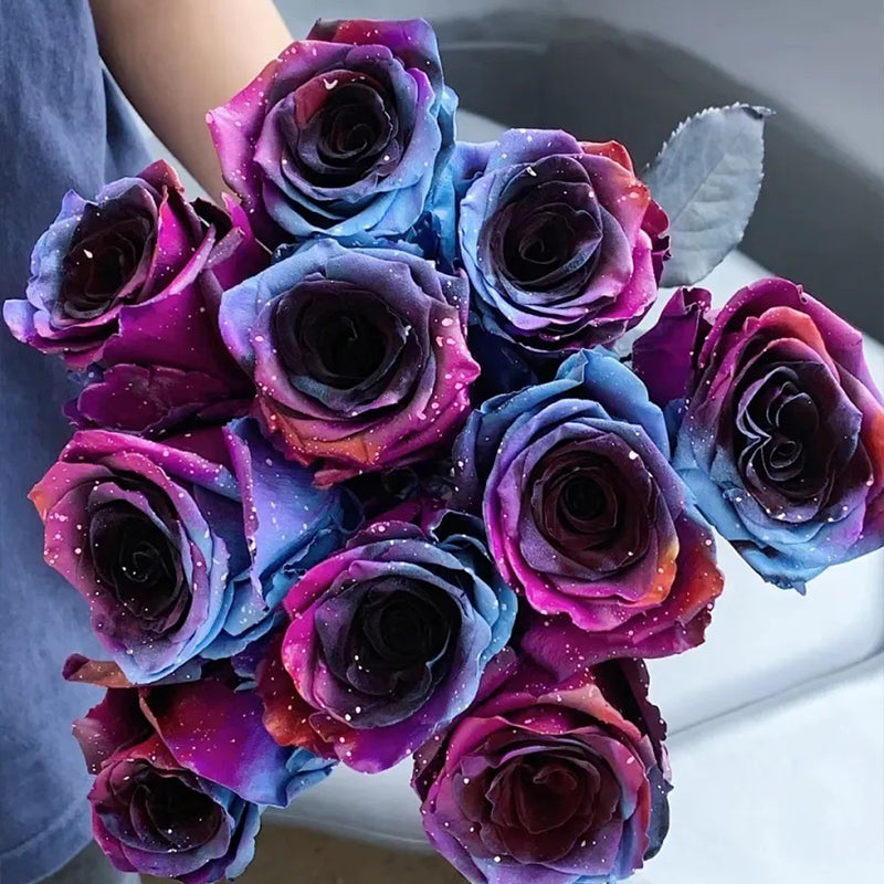 Rosas del cielo estrellado