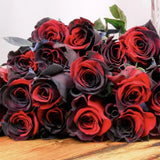 Carmen Rose - Twin Red Black Rose Seeds