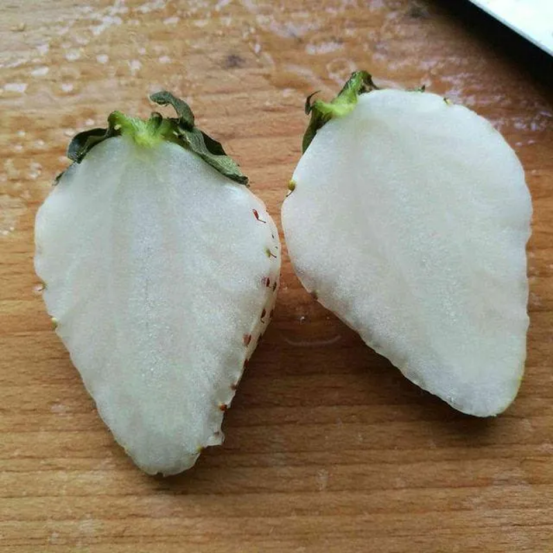 Rare Milk Strawberry Seeds