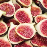 Fig Tree Seeds (Ficus carica), Sweet Fruit Shrub