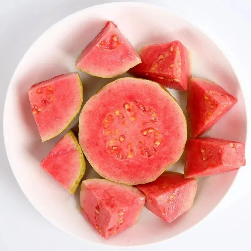 Semillas de guayaba rosa orgánica de guayaba tropical fresa