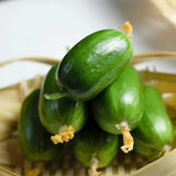 Pulgar Pepino-Niño Dorado Pepino Dama